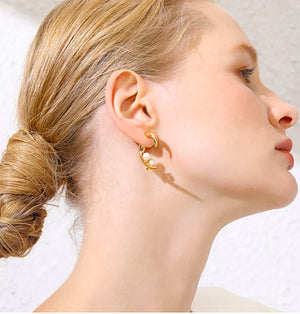Heart Horn Earrings